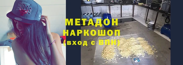 молекула духа Богданович