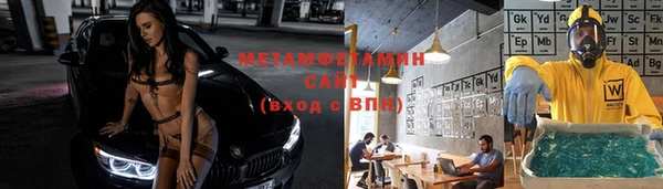 молекула духа Богданович
