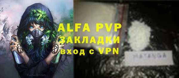 молекула духа Богданович