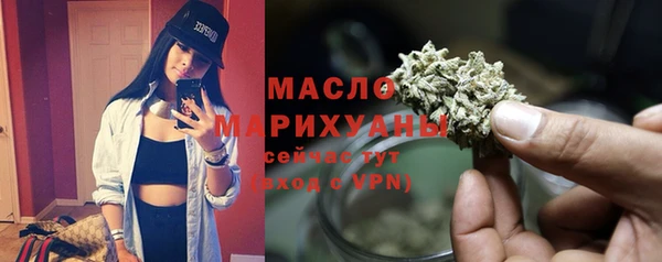 молекула духа Богданович