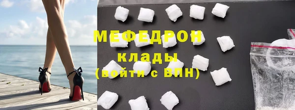 молекула духа Богданович