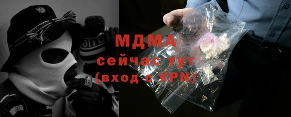 молекула духа Богданович