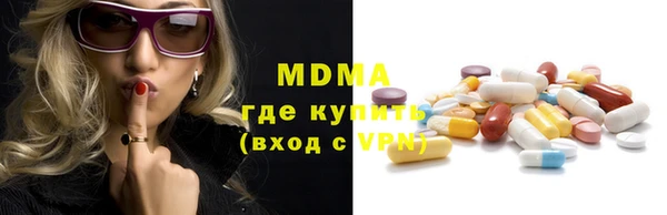 молекула духа Богданович