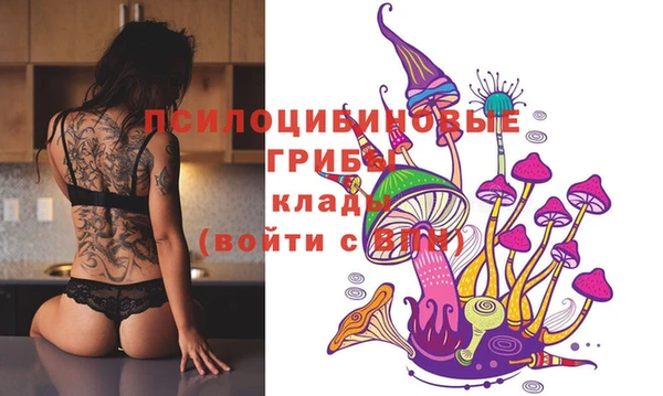 молекула духа Богданович
