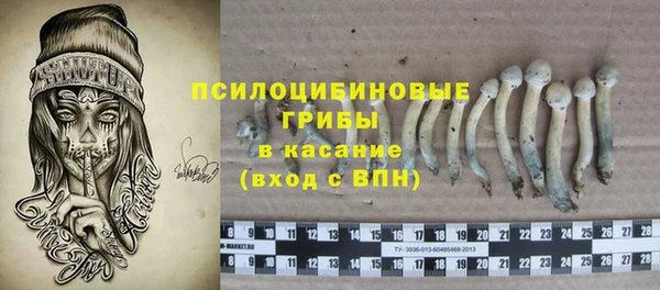 молекула духа Богданович