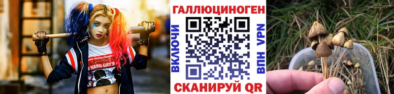 кракен вход  Шахунья  Галлюциногенные грибы Cubensis  наркошоп 